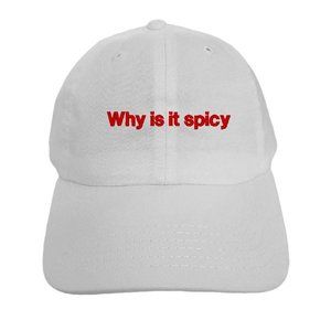 Why is it spicy - dad hat (unisex)